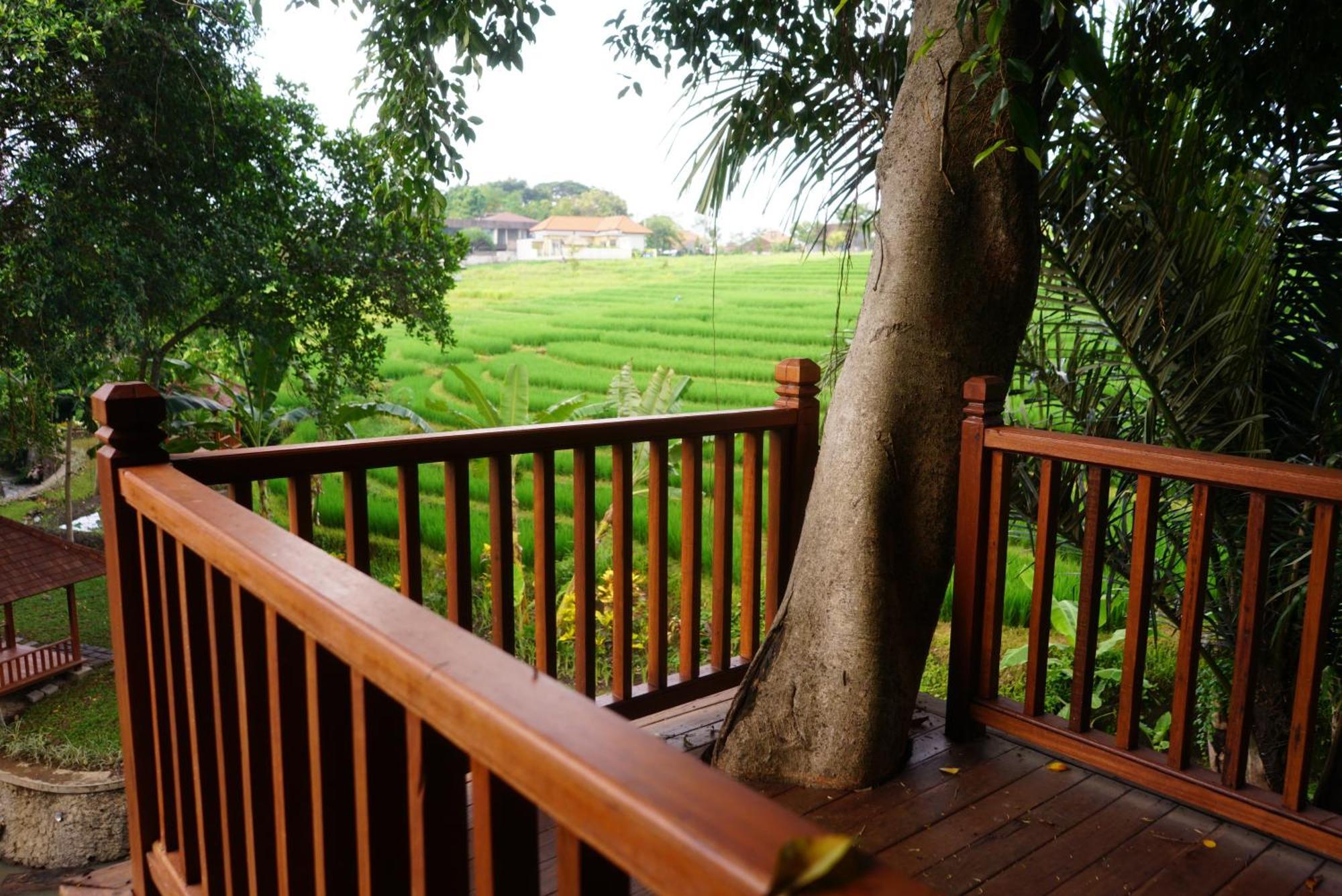 Paripadi Private Villa And Sanctuary Canggu Eksteriør billede