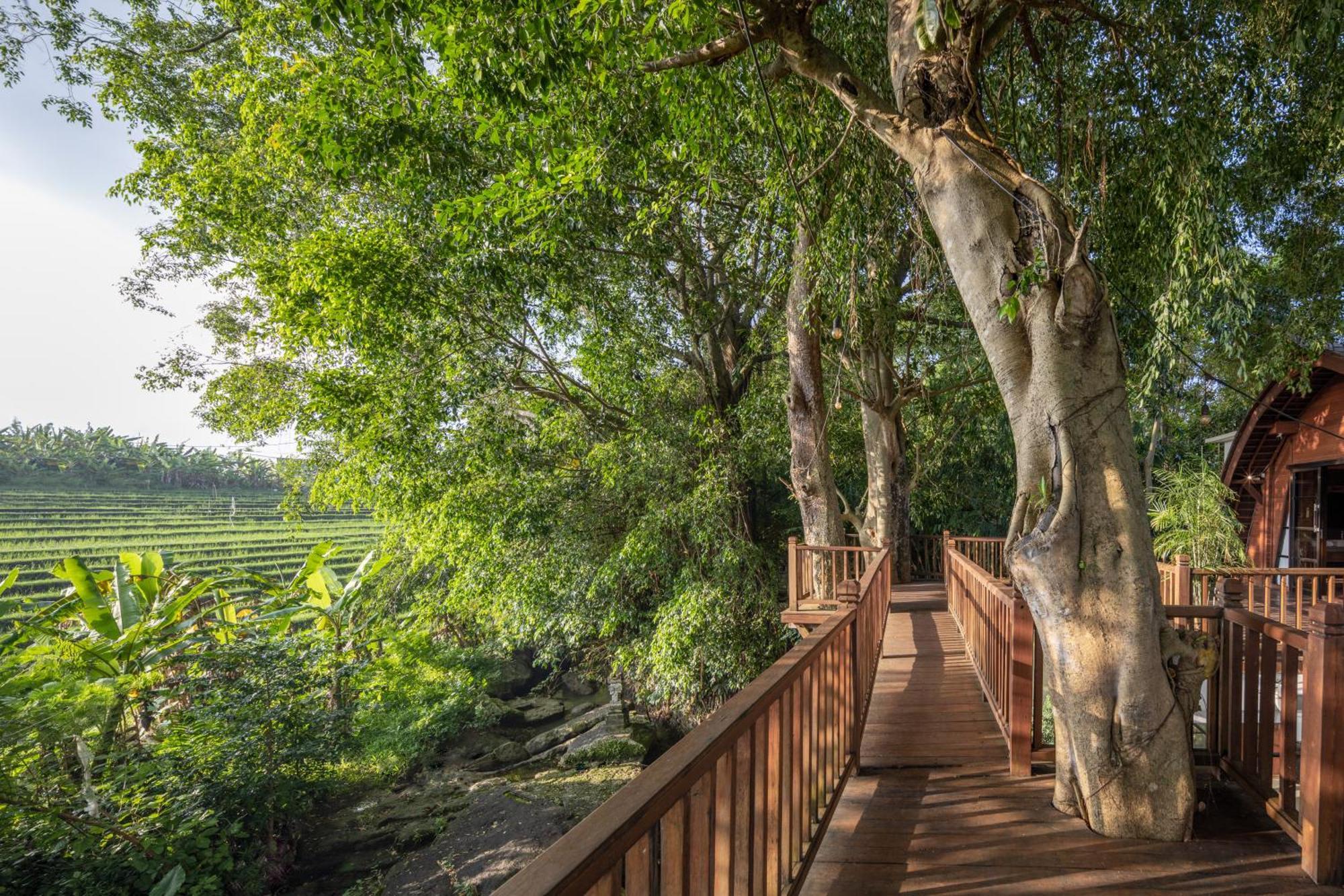 Paripadi Private Villa And Sanctuary Canggu Eksteriør billede